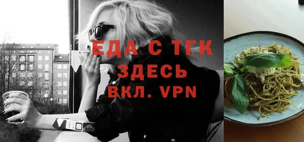 индика Осташков
