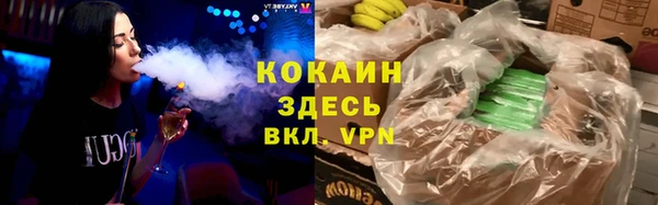 прущие грибы Арсеньев