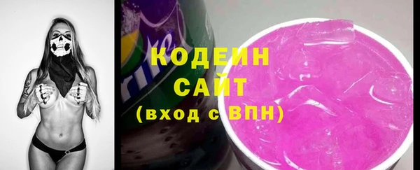 индика Осташков