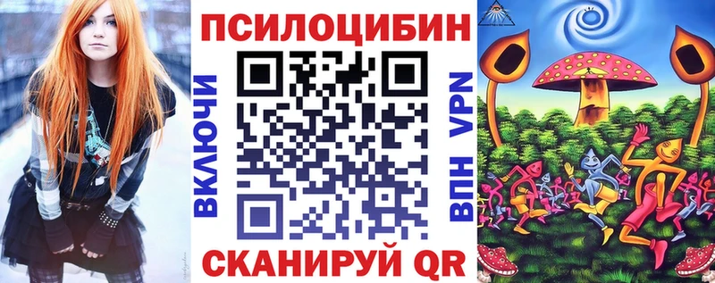 ссылка на мегу ONION  Чернушка  Псилоцибиновые грибы ЛСД  купить наркоту 